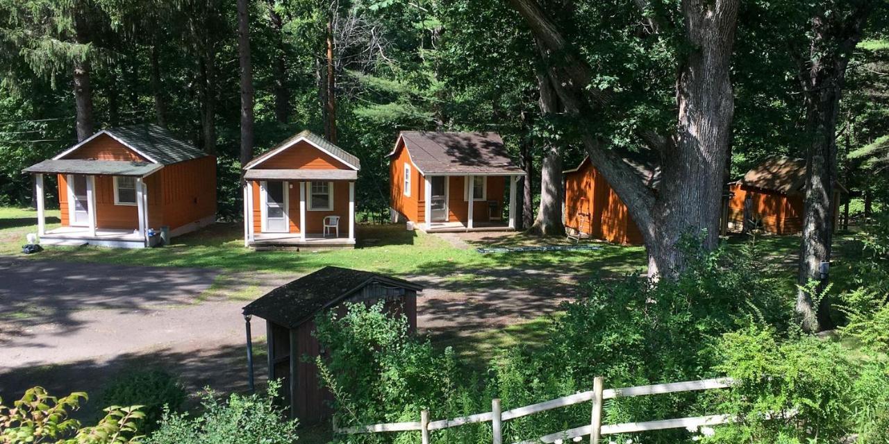 Pine Creek Motel & Campsites Gaines Extérieur photo
